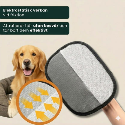 PawSwipe | Återanvändbar djurhårsborttagare (Set om 2)